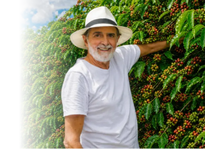 Vilela em uma plantação de café